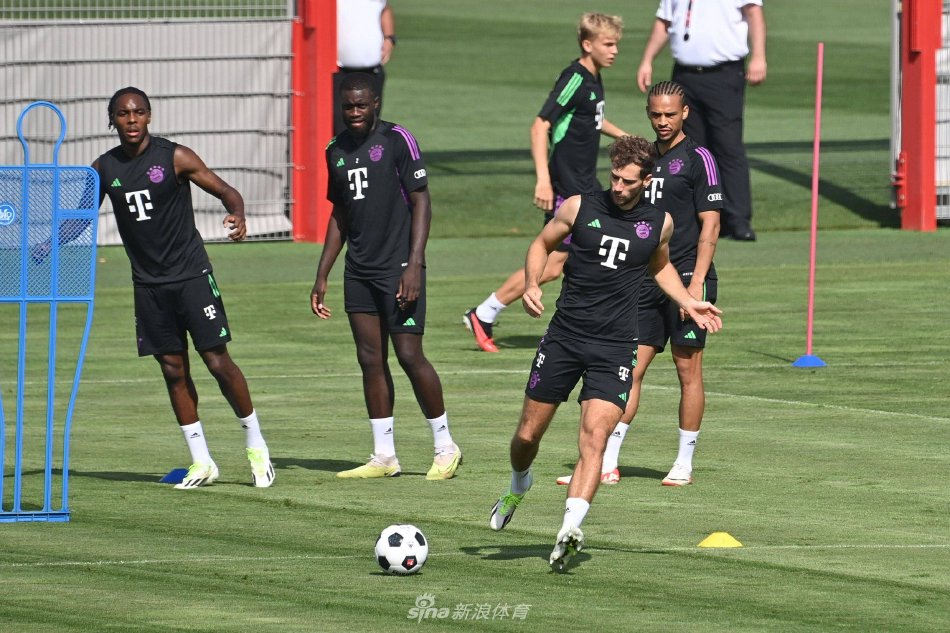 违的喜讯 违的喜讯