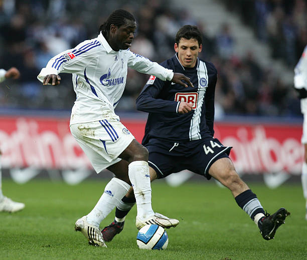 专家们倡导 专家们倡导